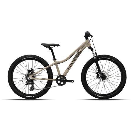 Bicicleta de Niño - Polygon Relic 24