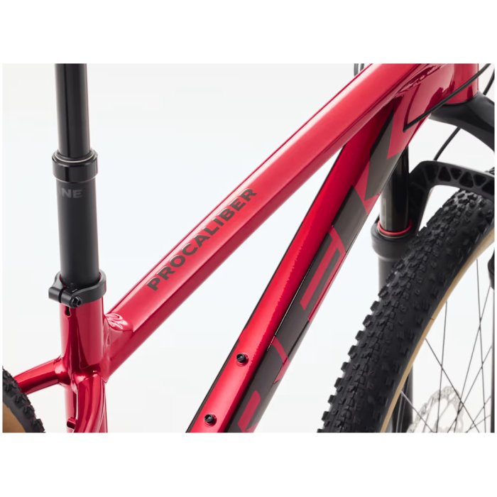 Procaliber B Alt