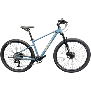 Bicicleta MTB R29 Gravity Bling - 1x10 L-twoo