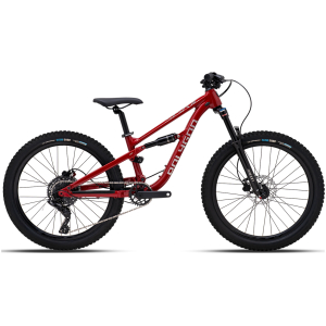 Bicicleta de MTB POLYGON SISKIU D24