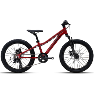Bicicleta de Niño - Polygon Relic 20