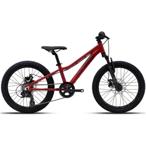 Bicicleta de Niño - Polygon Relic 20